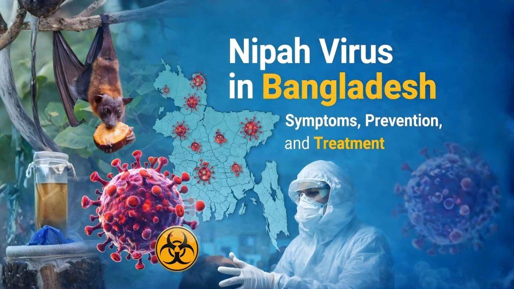 Nipah virus awareness in Bangladesh Fruit bat and Nipah virus transmission